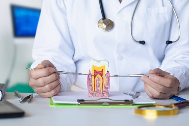 Best Emergency Tooth Extraction in One Loudoun, VA